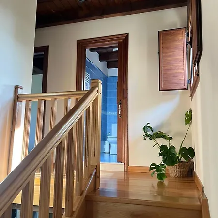 Casona Asturiana Casa Delfa *